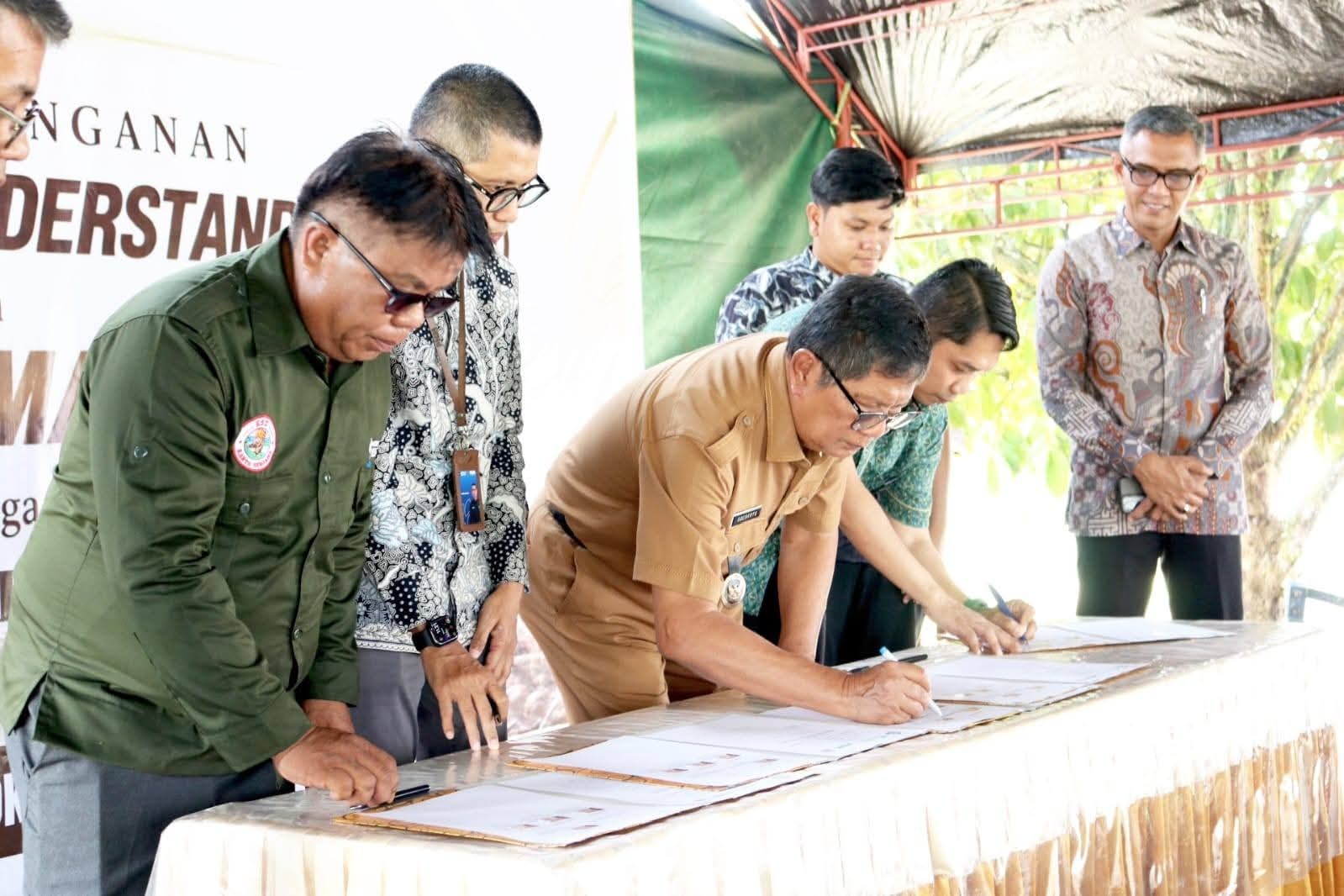 Poso Perkuat Kemitraan Kakao, Petani Didorong Naik Kelas